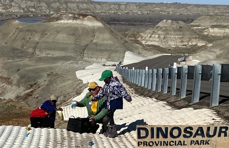 Dinosaur Ezgif.com Webp To Jpg Converter